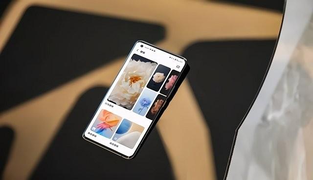 花园漫步壁纸软件app下载,vivo手机app,壁纸app,花园漫步